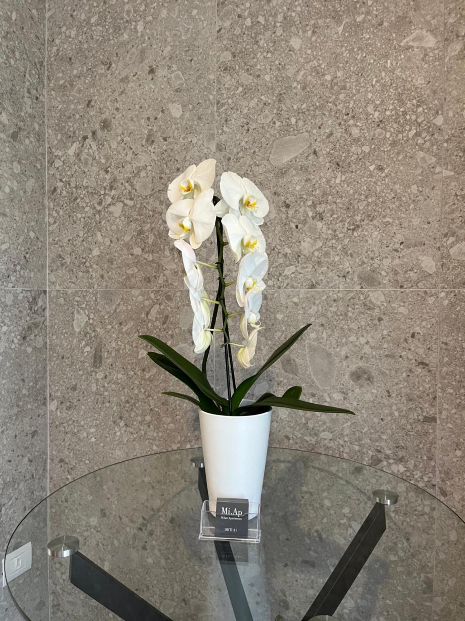Miap Orti 31 Apartment