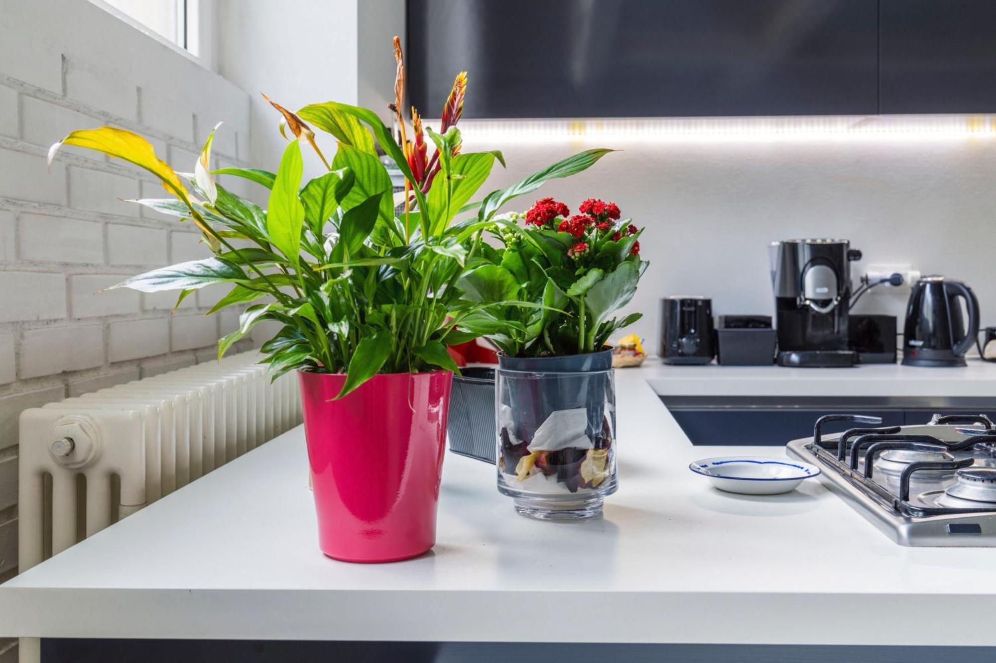 Casa vacanze Glass Loft Milano