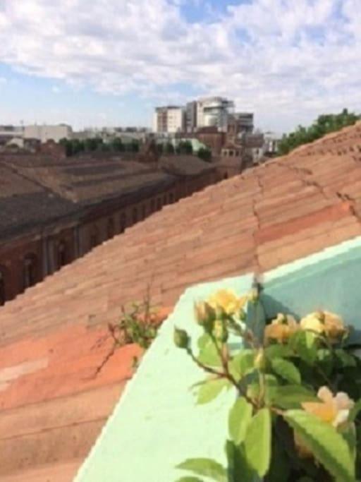 Mansardina Boheme Tra Il Duomo E L'universita Appartamento *