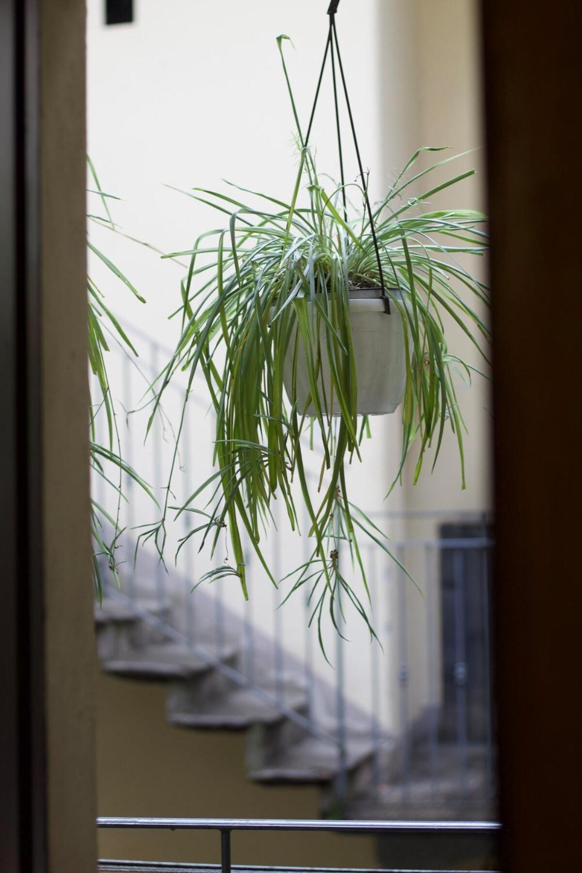 Cozy Apartment- Navigli *