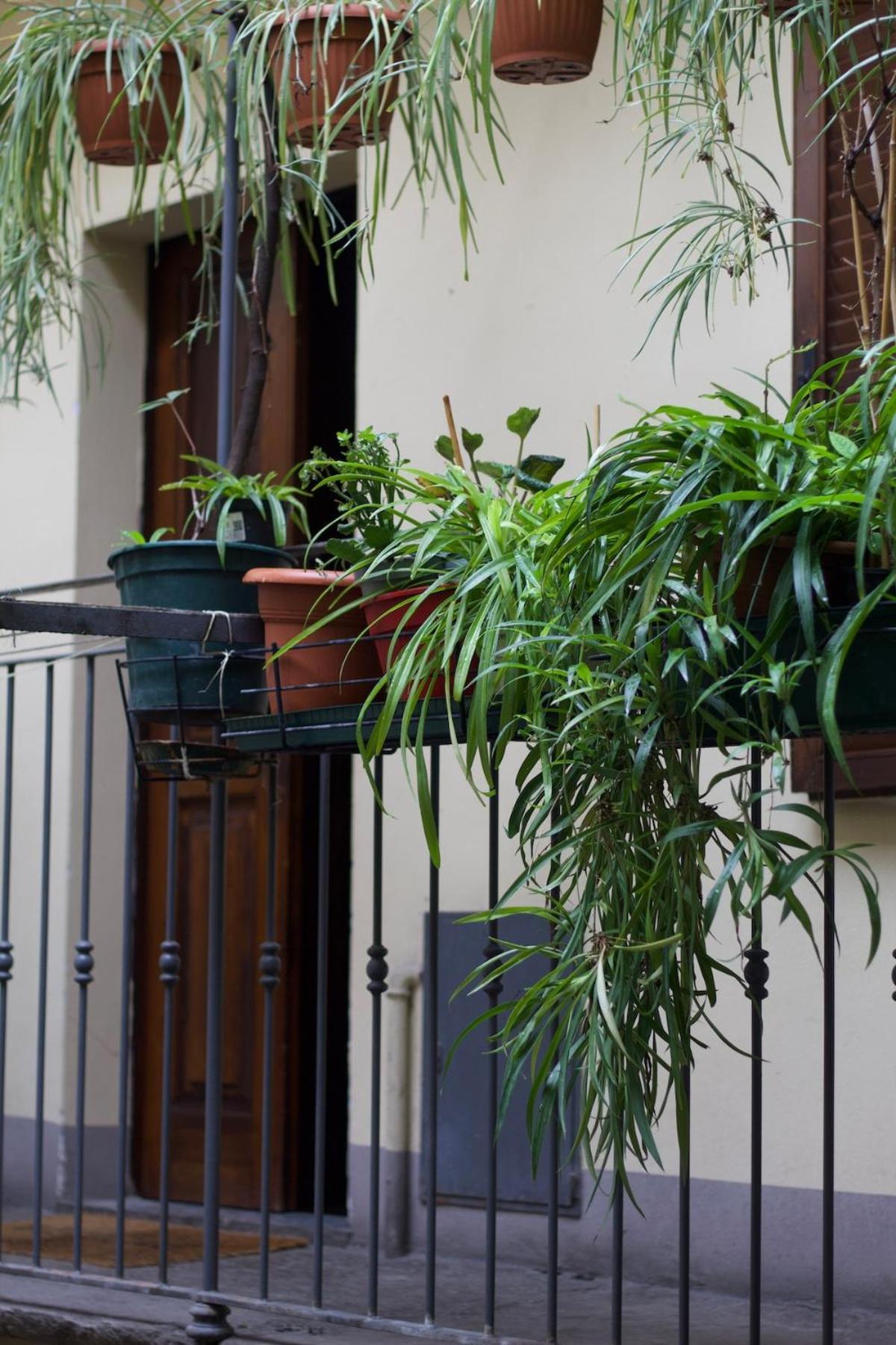 Cozy Apartment- Navigli Milano