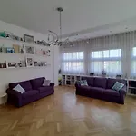 Spacious Apartment In The Heart Of The City