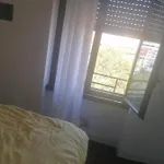 1 Room 10 Min Walking From Isola