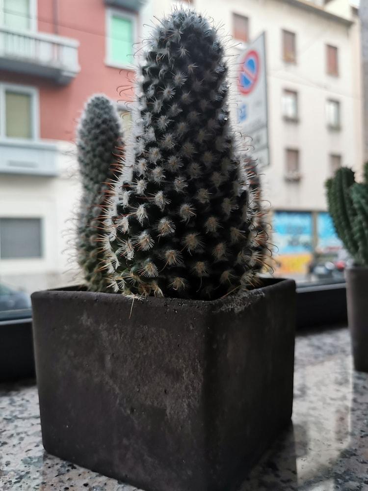 Venini