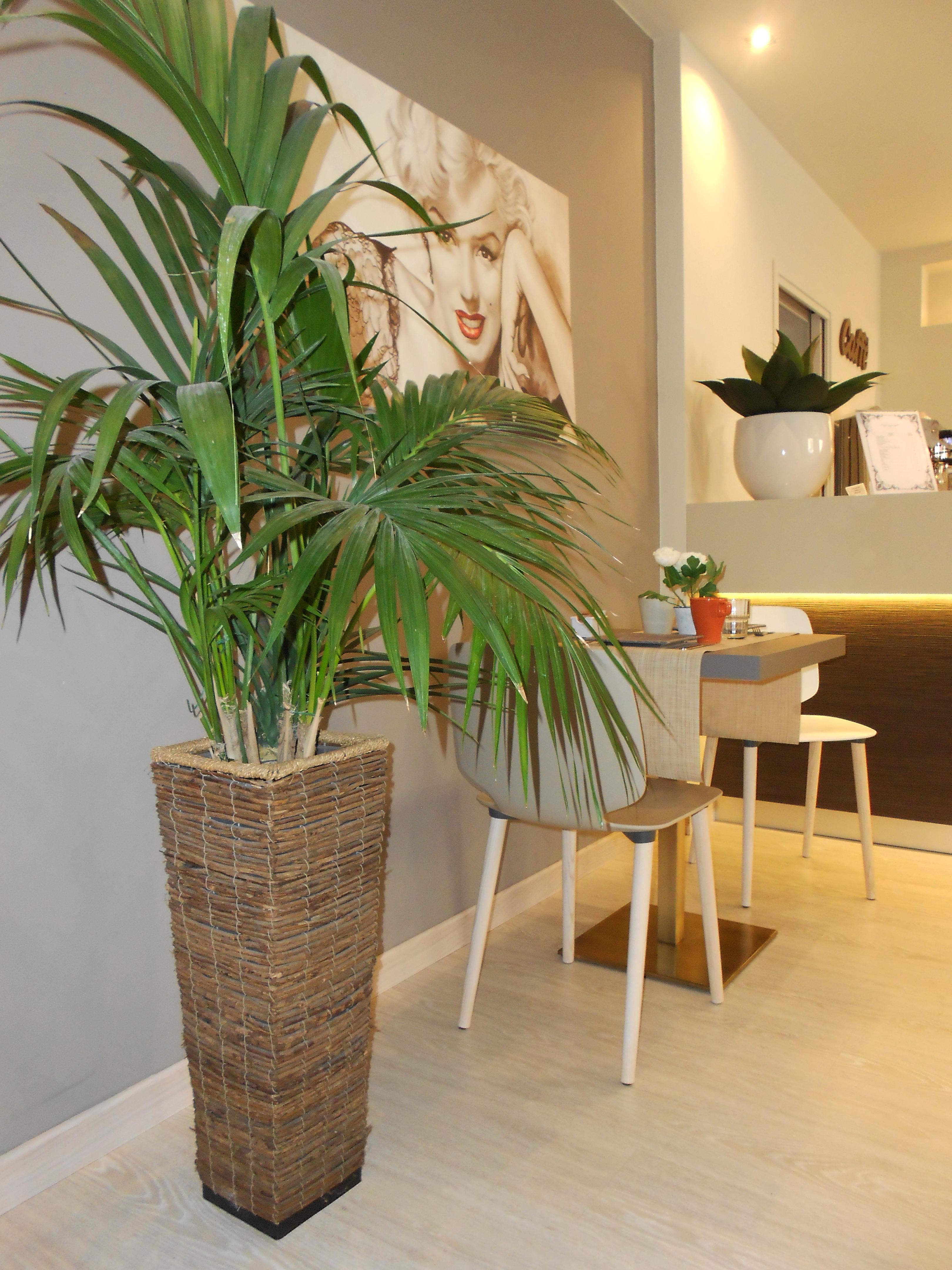 Ares 3* Milan