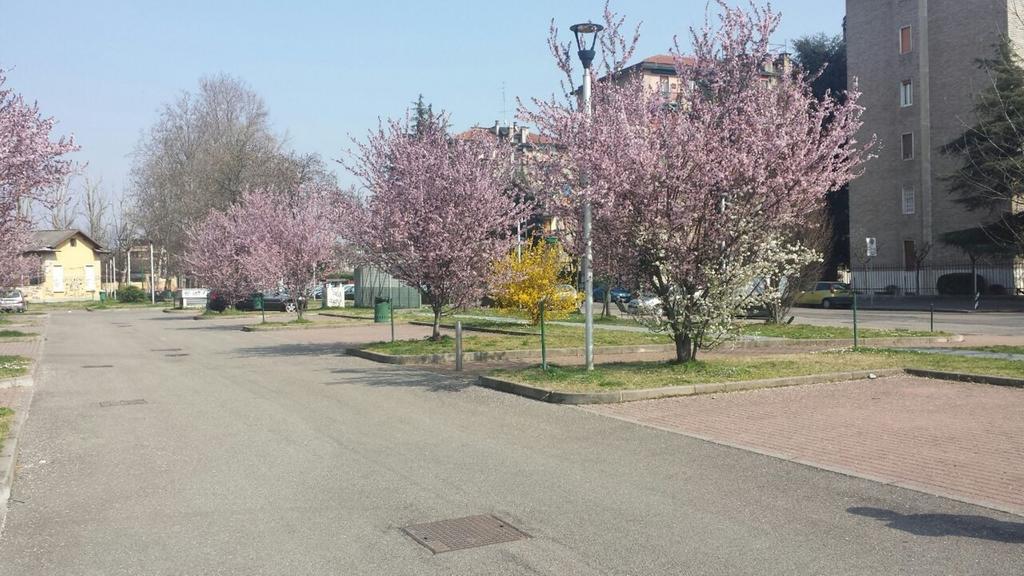 Frühstückspension Luci A San Siro Mailand