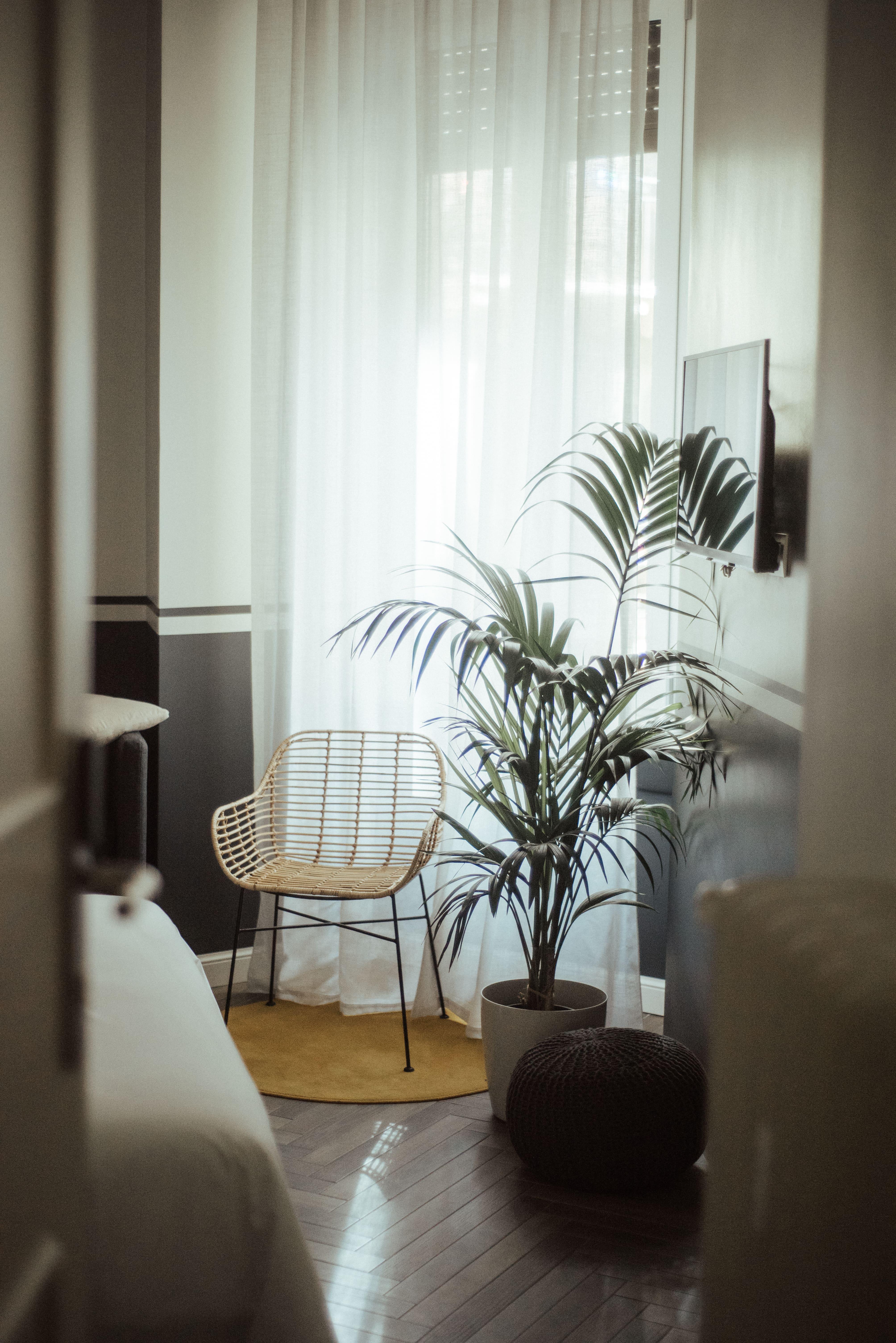 Guest house Ca Bela - Porta Romana 2*