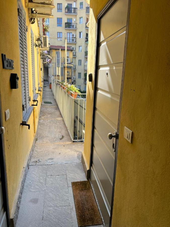 Arco Pace