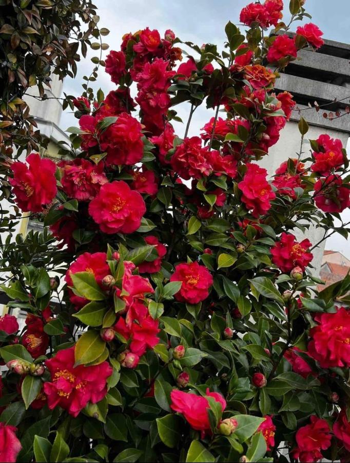 Giresio 41 - Your Penthouse With Rooftop Garden In Navigli - Wifi Lejlighed