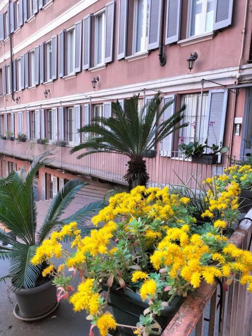 Corso Boutique