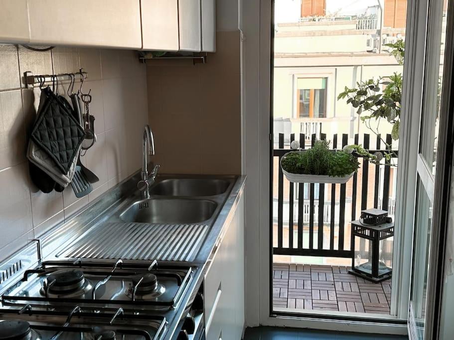 Bright Terrace-garden *