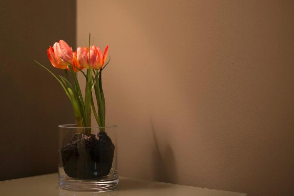 Apartment Heart Porta Romana Mailand