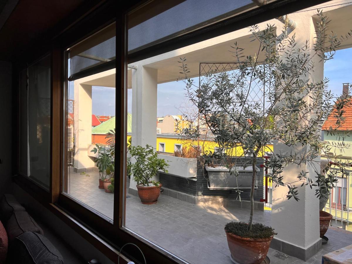 La Terrazza Su Appartement *