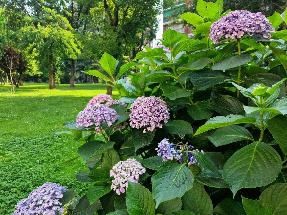 Giardino Sul Naviglio * Milan