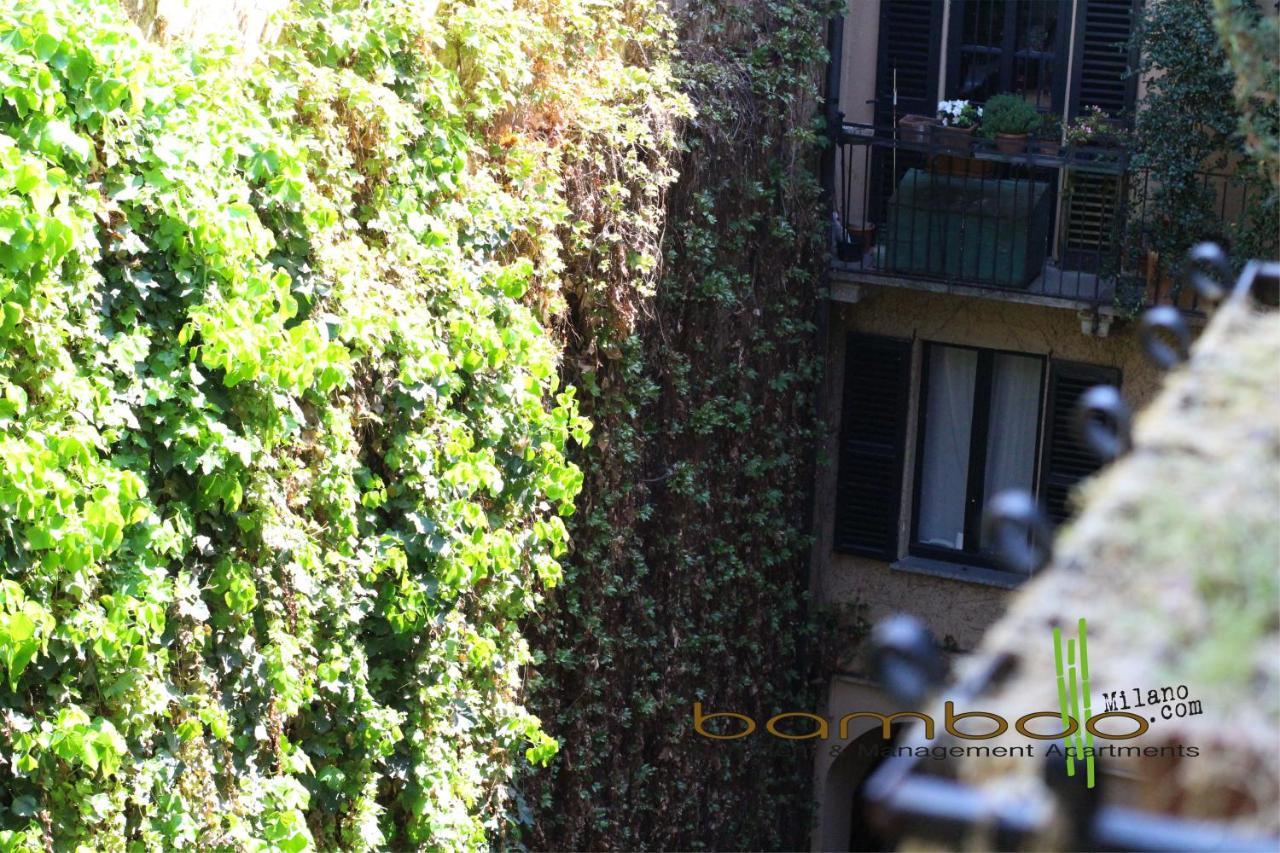 Bamboo Brera *