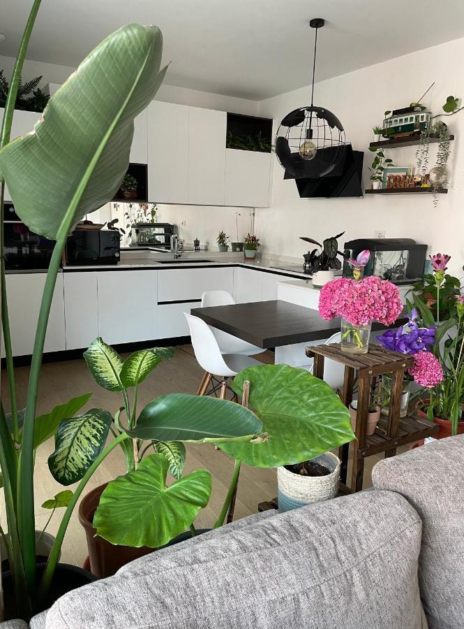 Privat overnatting Mowgli House - Luxury Private Milano
