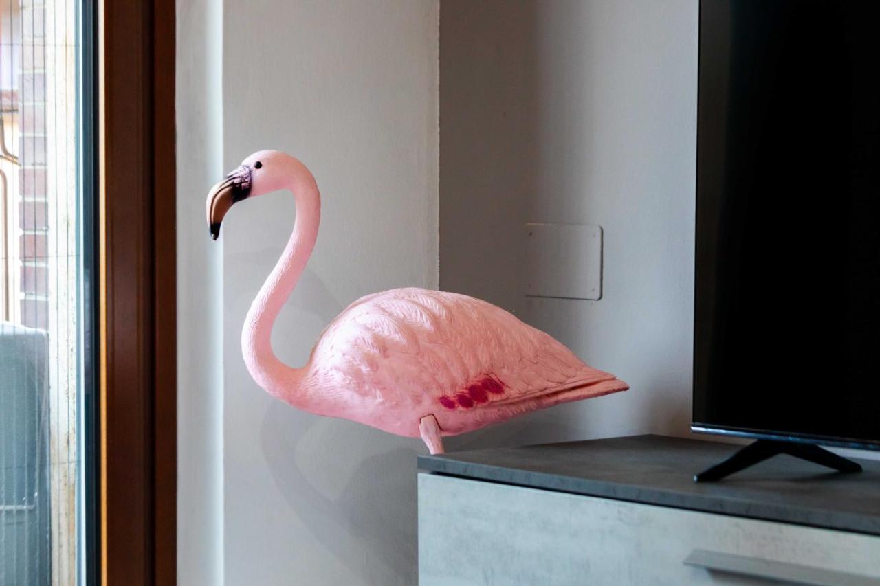 Casa Cosy Flamingo *
