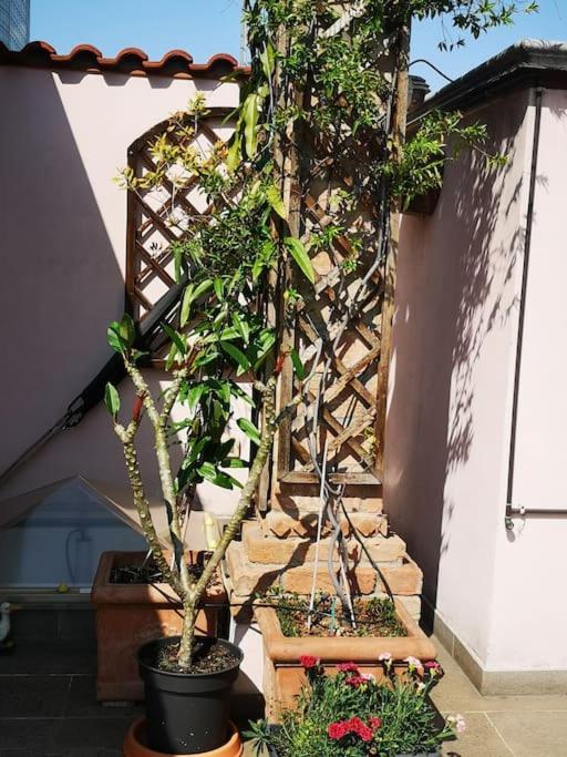 Cozy With Garden Terrace Lejlighed Milano