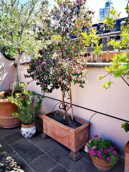 Lejlighed Cozy With Garden Terrace Milano