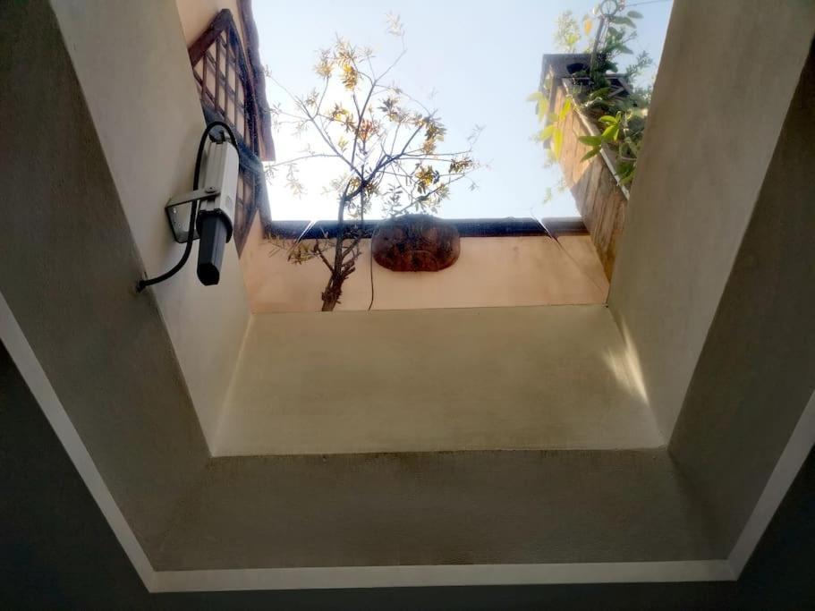 Cozy With Garden Terrace Lejlighed *