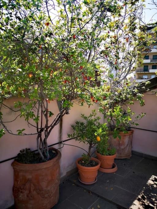 Cozy With Garden Terrace Milano