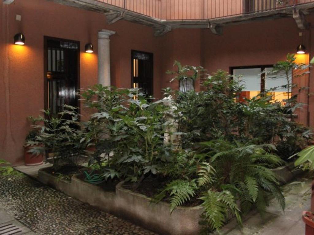Disciplini Apartment