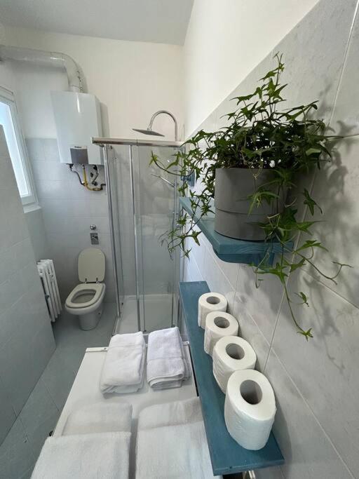 Cozy San Siro - Fiera Appartement Milaan