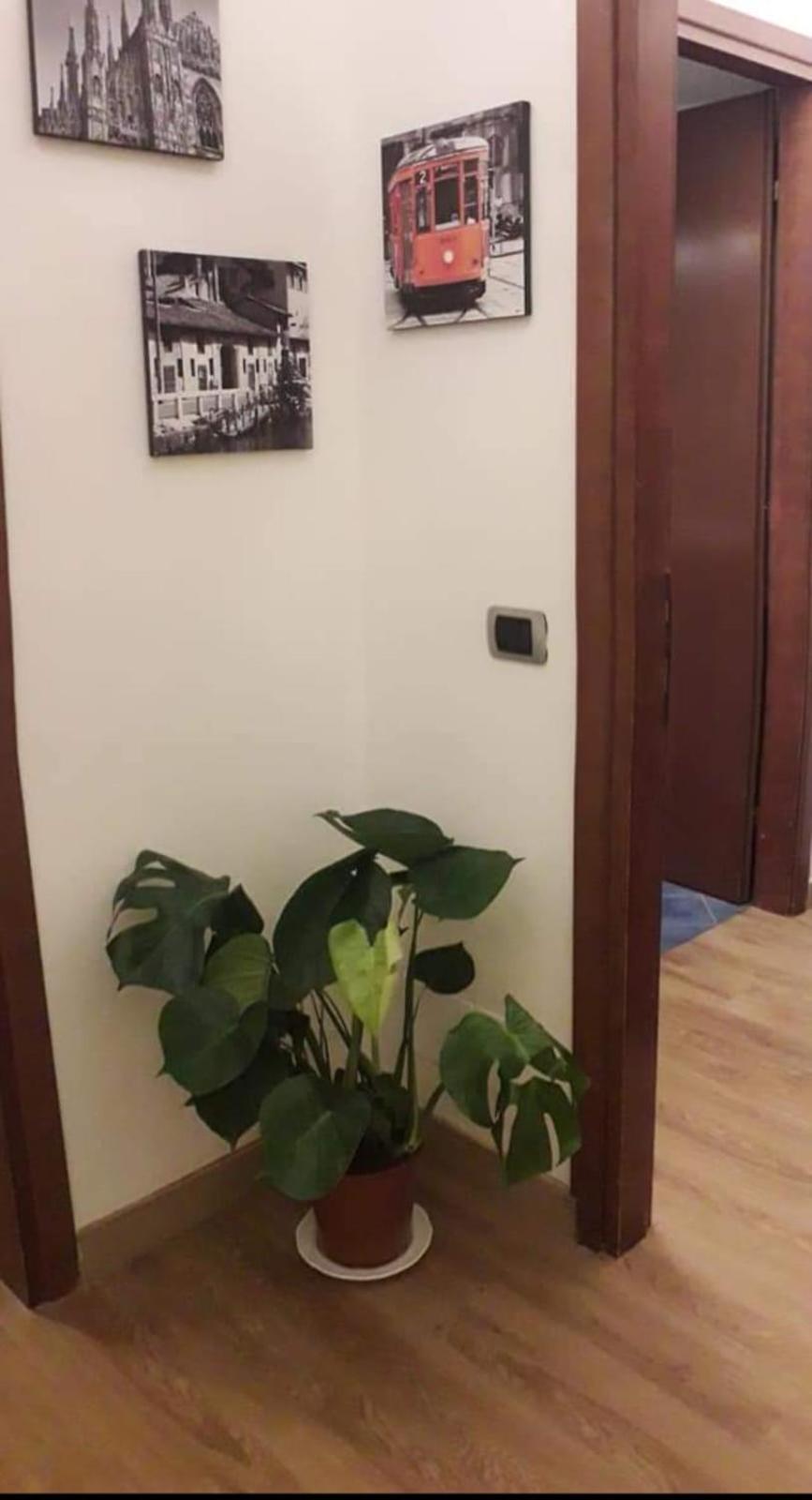 Domobella -- Ripamonti / Ieo / Prada / Bocconi -- * Milano