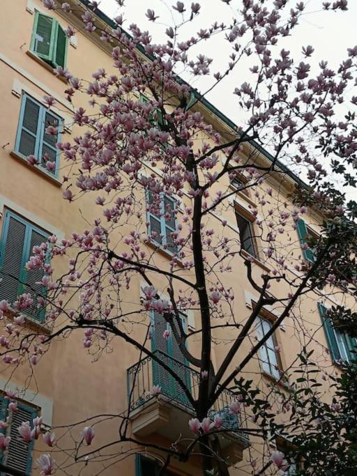Apartment Da Rosa E Pier - Charming *