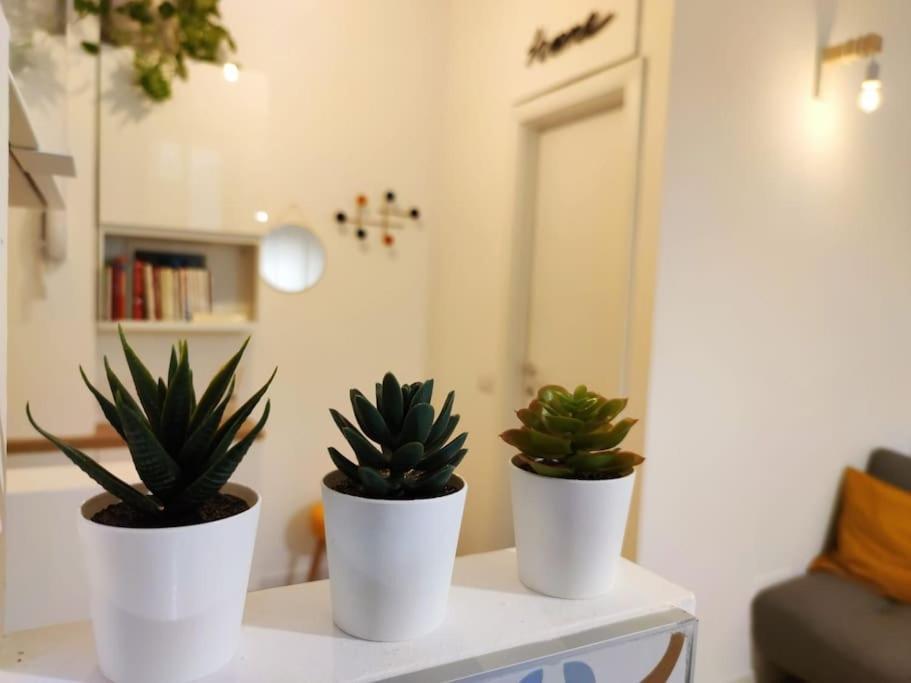 Da Rosa E Pier - Charming Apartment