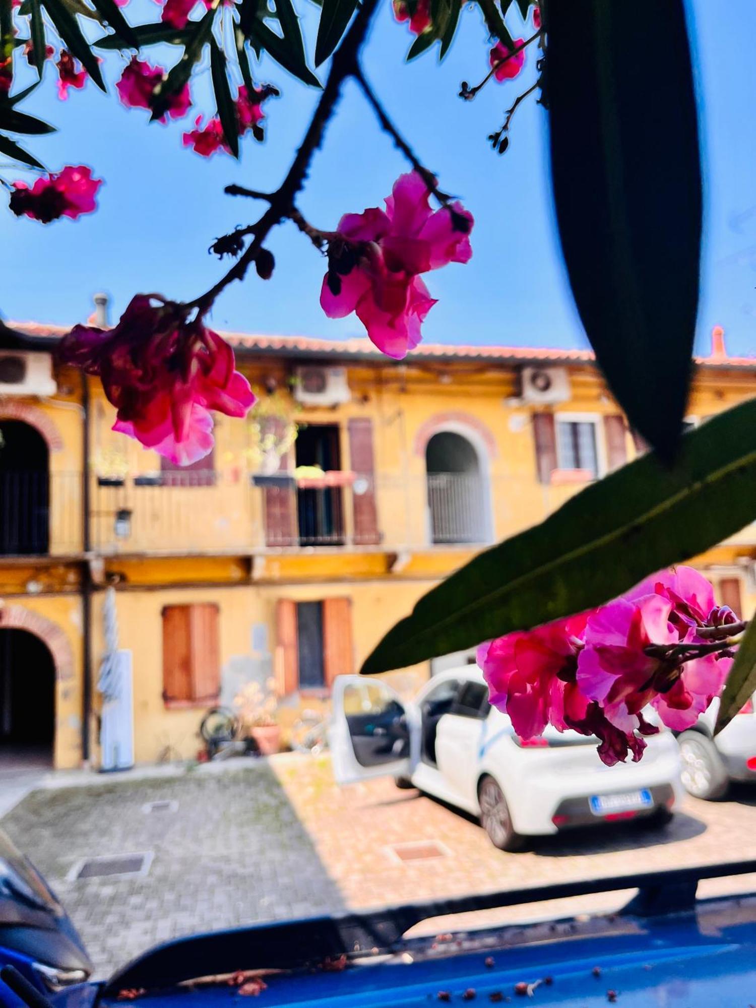 Cascina La Botanica Leilighet *