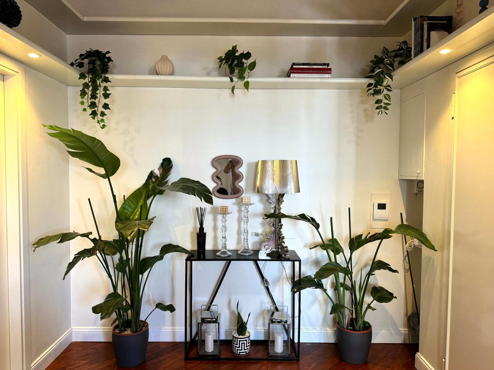 Urban Jungle 4 - Darsena Leilighet