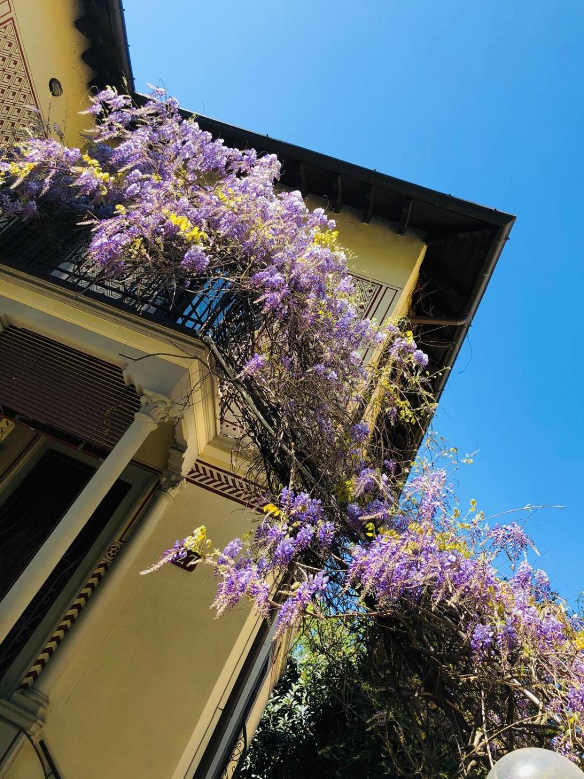 Bilocale Chic In Tropical A Due Passi Da Stazione * Milano