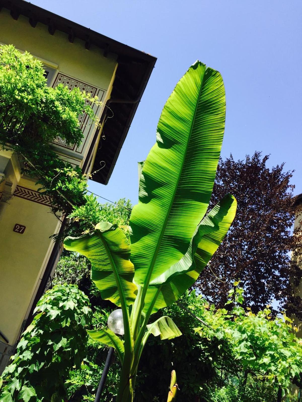 Appartamento Bilocale Chic In Tropical A Due Passi Da Stazione *