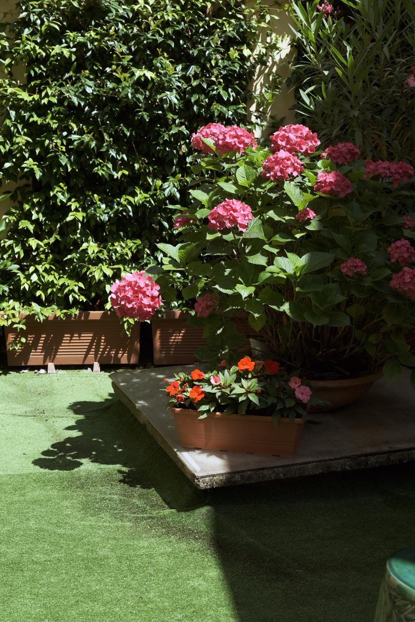 Comecasa Flowery Terraced Leilighet *
