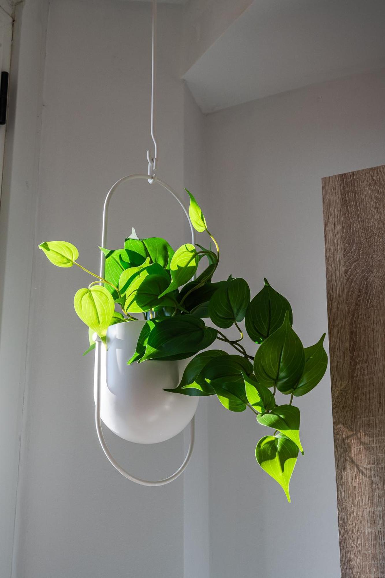 Botticelli 24 Appartement *