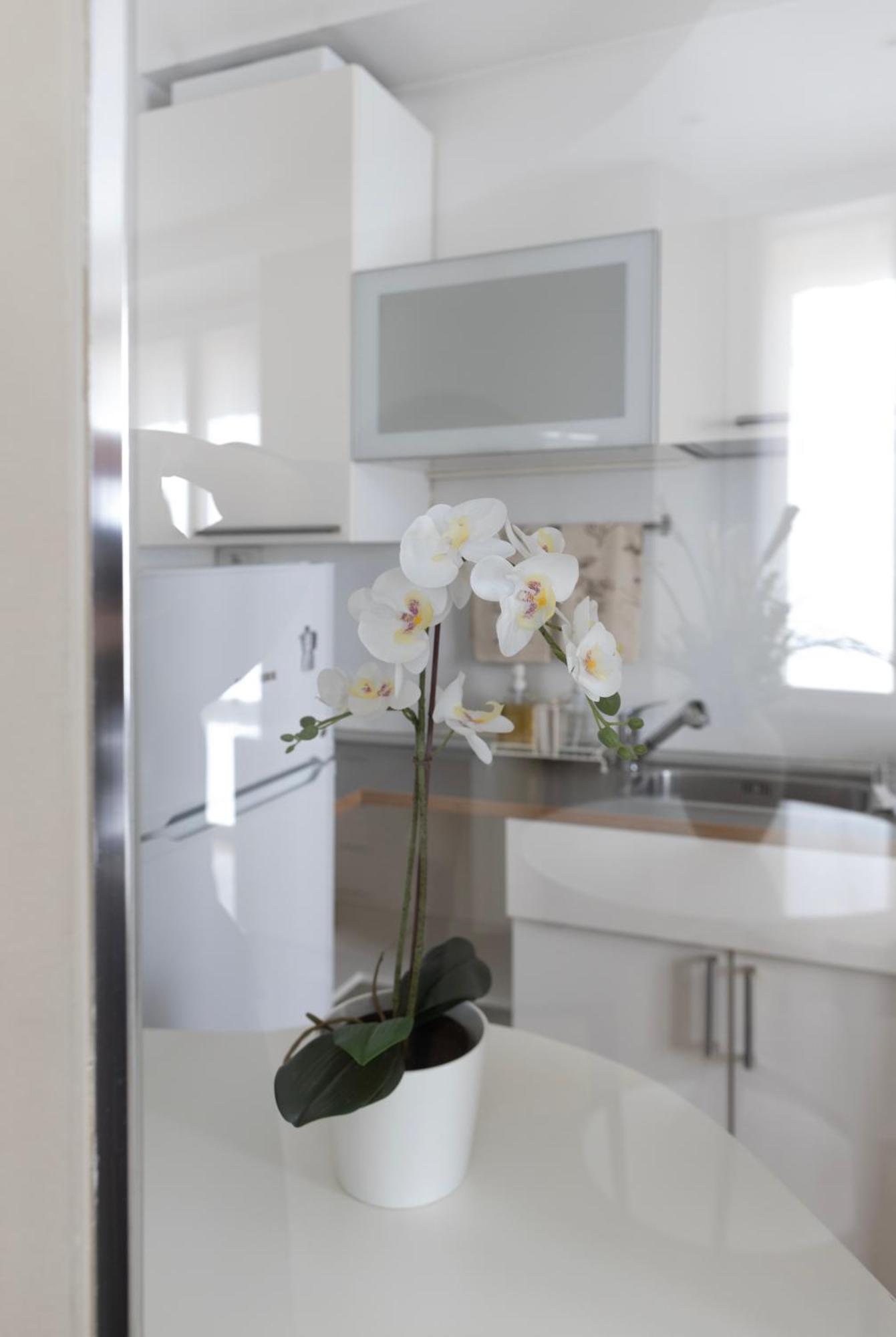 Bed & Breakfast Brera