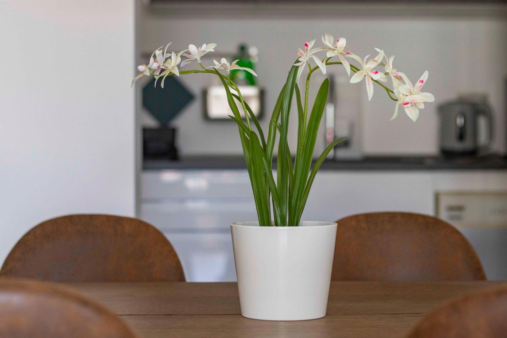 Appartement Bright House - Carozzi