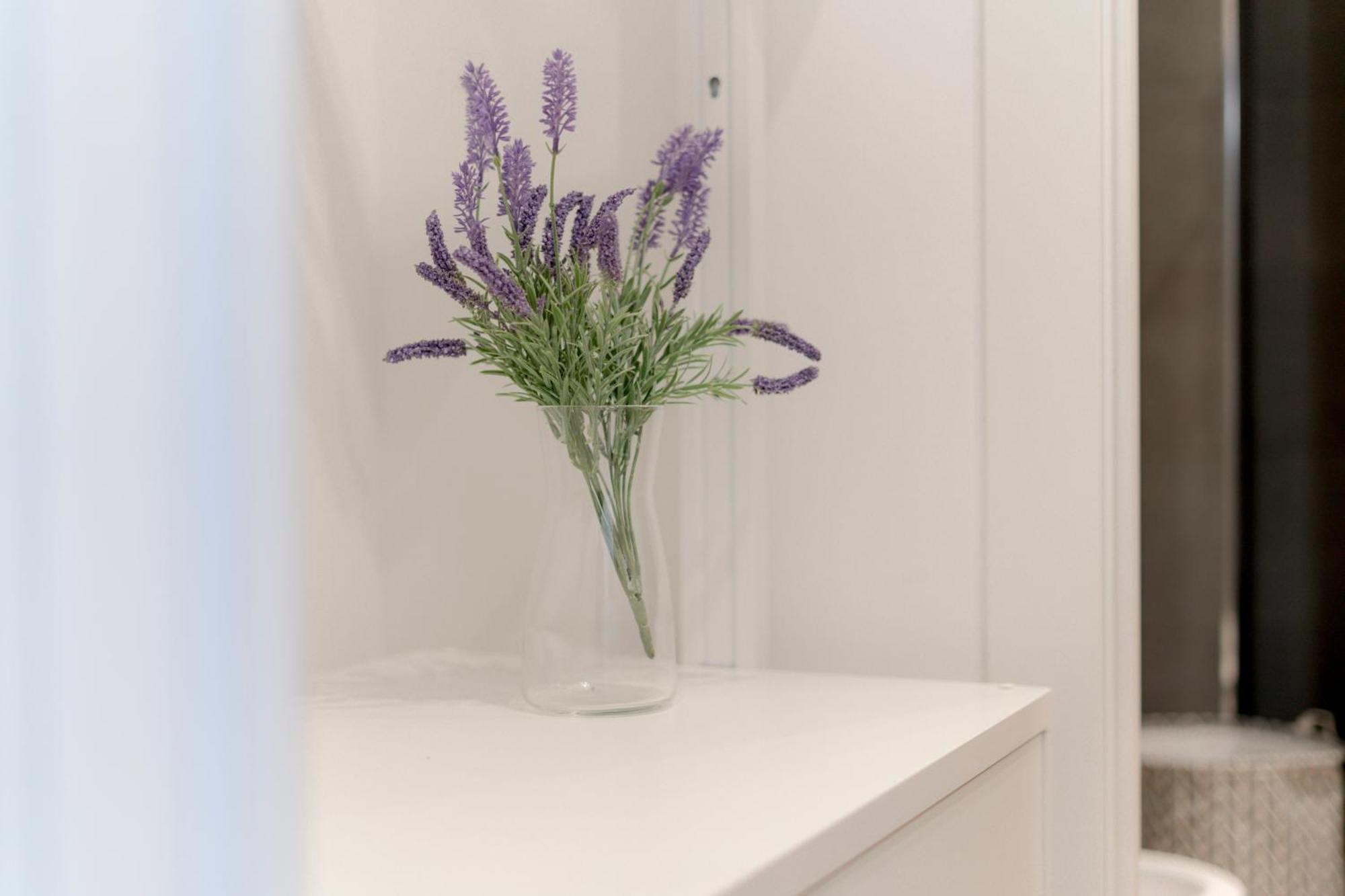 Appartamento Luxury - Daverio 6 *