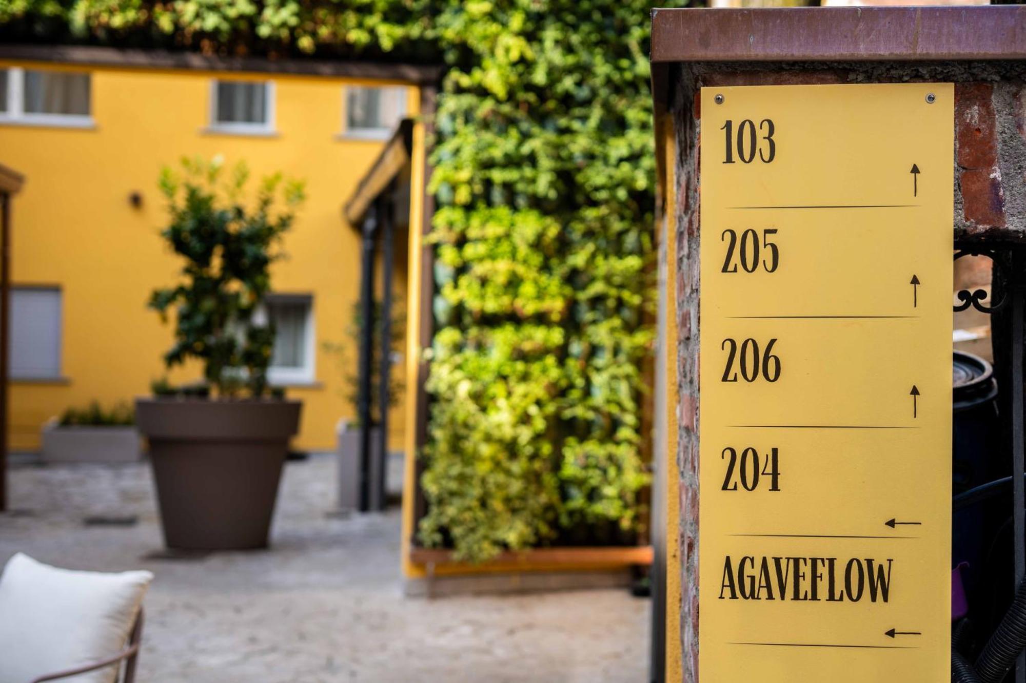 Agave In 3* Milano