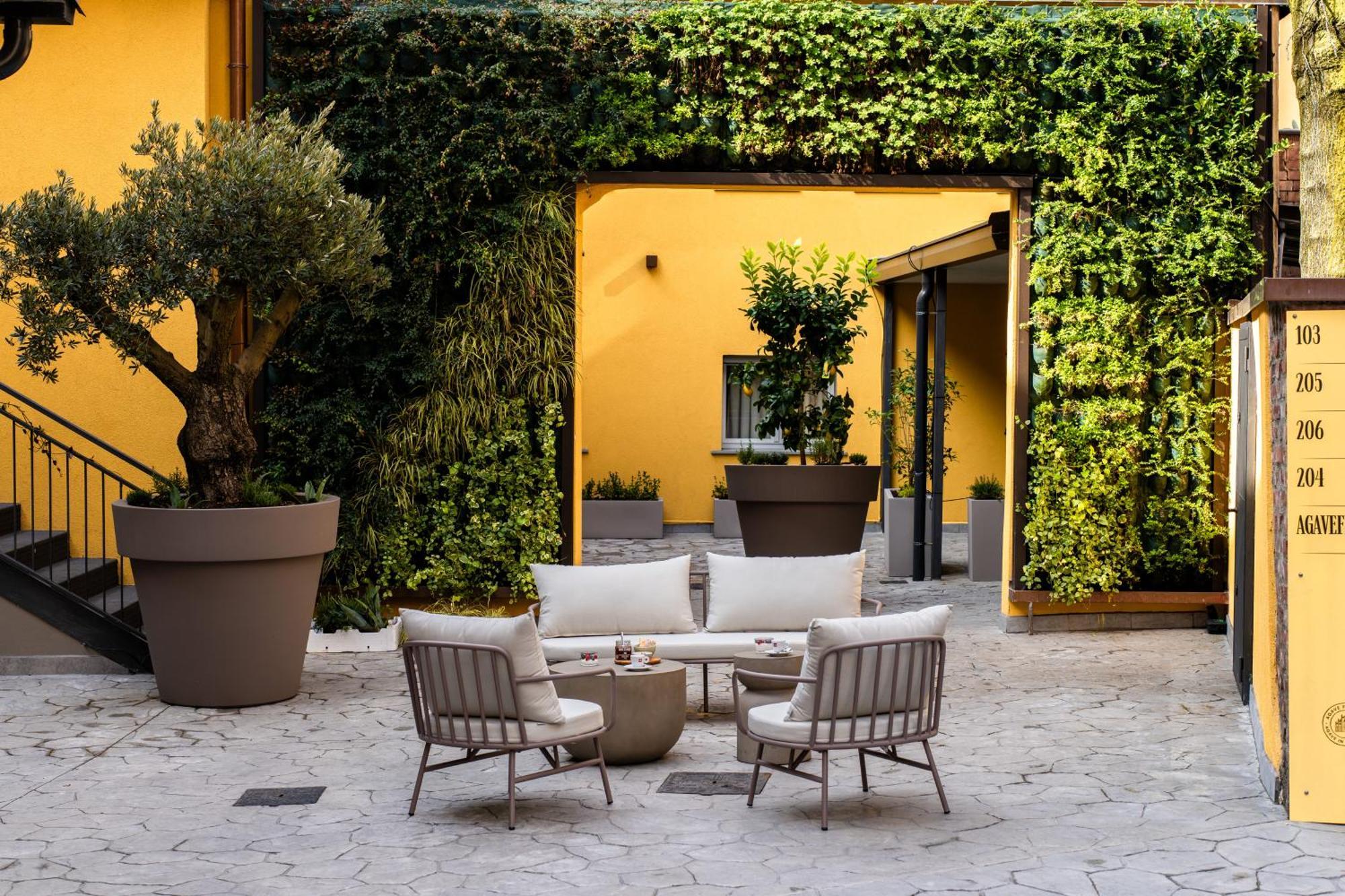 Agave In Milano