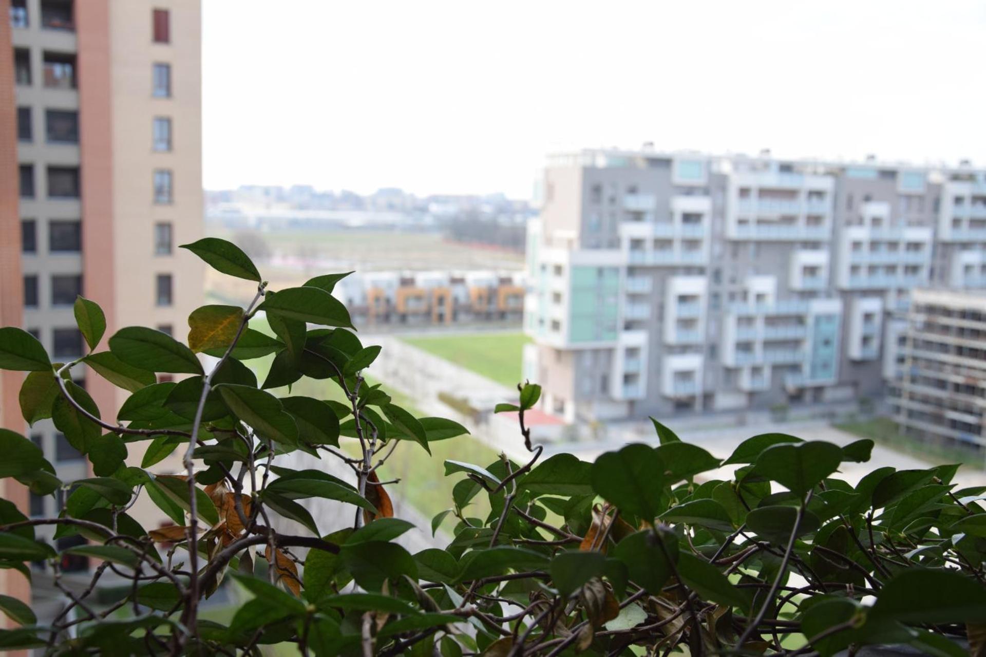 Appartamento North - Beautiful Flat With Terrace Milano