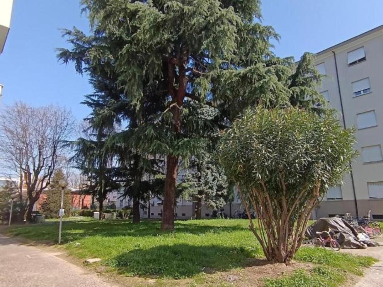 Appartamento La Casa Di Giulia