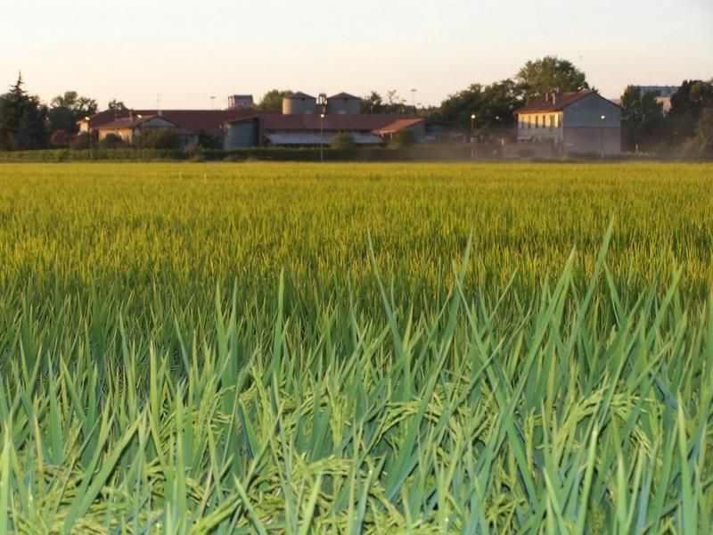 Vakantieboerderij Cascina Battivacco