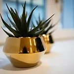 Stylish And Fancy Flat Close To Montenapoleone Brera By Easylife