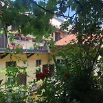Il tetto fiorito dell\'Isola
