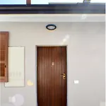 Balilla 4 - Green Living