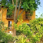 Room With A Garden