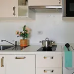 Colorful Nolo Studio