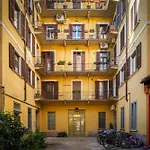 Accomodo Miq41 Quadrivano Centrale